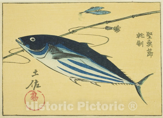 Art Print : Cutout Pictures of the Provinces (Kunizukushi harimaze zue) v4, Utagawa Hiroshige, c 1852, Vintage Wall Decor :