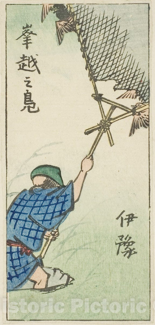Art Print : Catching Wild Ducks in Iyo Province (Iyo, okoshi no kamo), section of sheet no. sixteen , Utagawa Hiroshige, c 1857, Vintage Wall Decor :