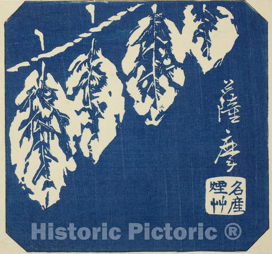 Art Print : Satsuma, section of sheet no. eighteen from the series "Cutout Pictures of the Provinces (Kunizukushi harimaze zue)", Utagawa Hiroshige, c eighteen52, Vintage Wall Decor :