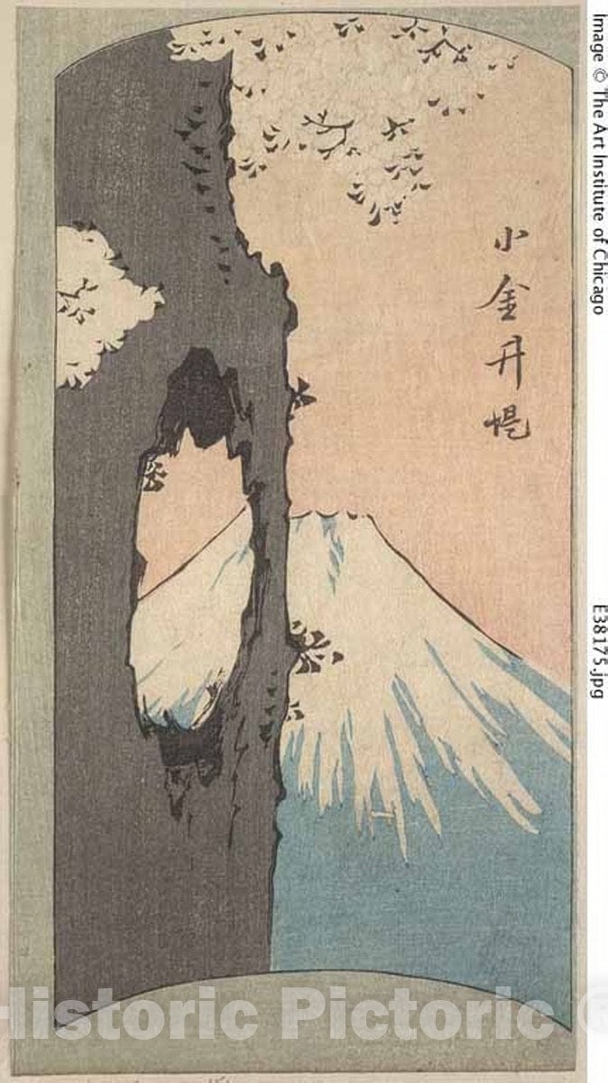 Art Print : Koganei, section of a sheet from the series "Cutout Pictures of Famous Places in Edo (Edo meisho harimaze zue)", Utagawa Hiroshige, c 1854, Vintage Wall Decor :