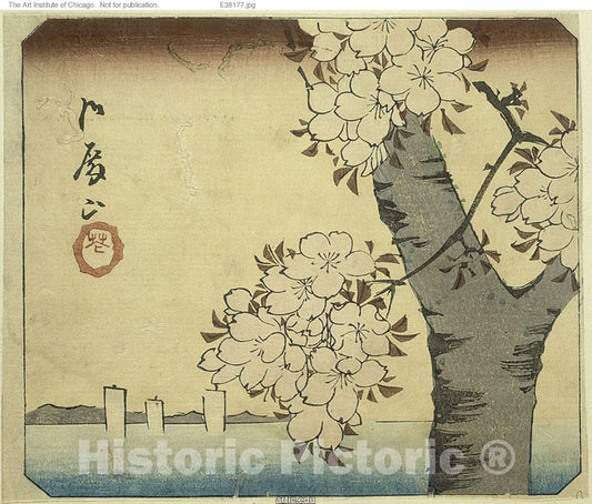 Art Print : Flowers at Goten Hill (Gotenyama, hana), section of a sheet , Utagawa Hiroshige, c 1854, Vintage Wall Decor :