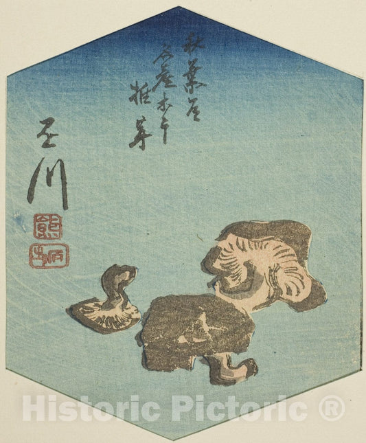 Art Print : Kakegawa, section of sheet no. seven from the series "Cutout Pictures of the Tokaido Road (Tokaido harimaze zue)", Utagawa Hiroshige, c 1852, Vintage Wall Decor :