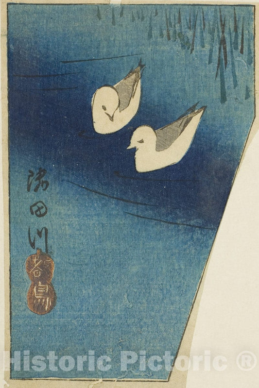 Art Print : Oystercatchers on the Sumida River (Sumidagawa, miyakodori), section of a sheet , Utagawa Hiroshige, c 1852, Vintage Wall Decor :