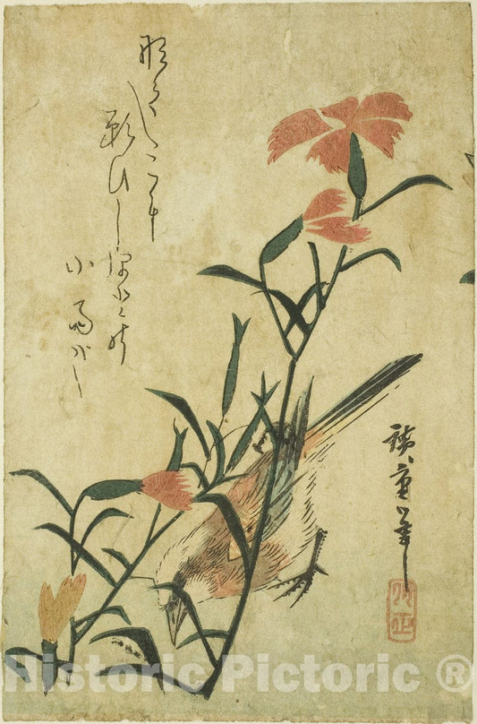 Art Print : Bird and wild carnation, Utagawa Hiroshige, c 1835, Vintage Wall Decor :