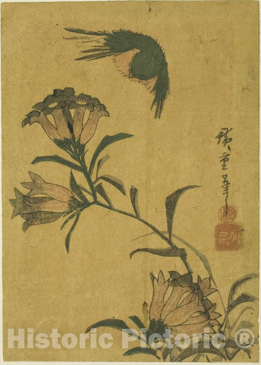 Art Print : Bird and gentian, Utagawa Hiroshige, c1880, Vintage Wall Decor :