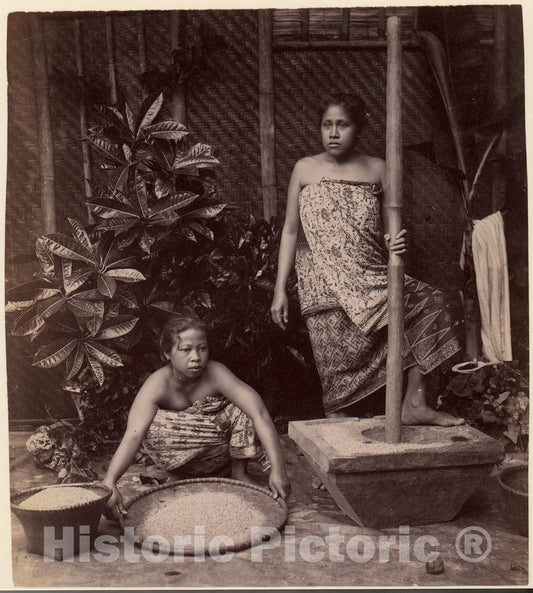 Photo Print : Javanese Women Preparing Rice : Vintage Wall Art