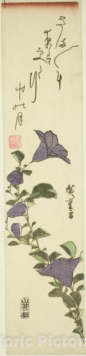 Art Print : Chinese Bell Flowers, Utagawa Hiroshige, c 1840, Vintage Wall Decor :