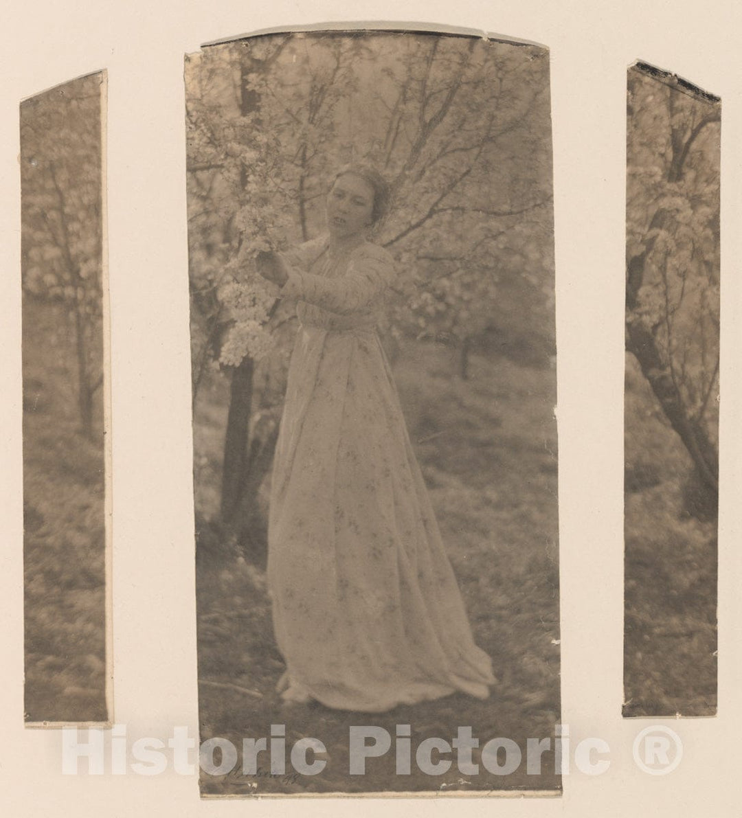 Photo Print : Clarence H. White - Spring—Triptych : Vintage Wall Art