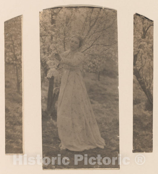 Photo Print : Clarence H. White - Spring—Triptych : Vintage Wall Art