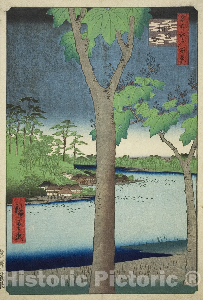 Art Print : The Paulownia Grove at Akasaka , from One Hundred Famous Views of Edo , Utagawa Hiroshige, c 1857, Vintage Wall Decor :