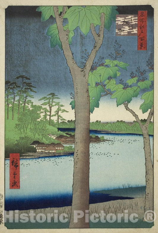 Art Print : The Paulownia Grove at Akasaka , from One Hundred Famous Views of Edo , Utagawa Hiroshige, c 1857, Vintage Wall Decor :