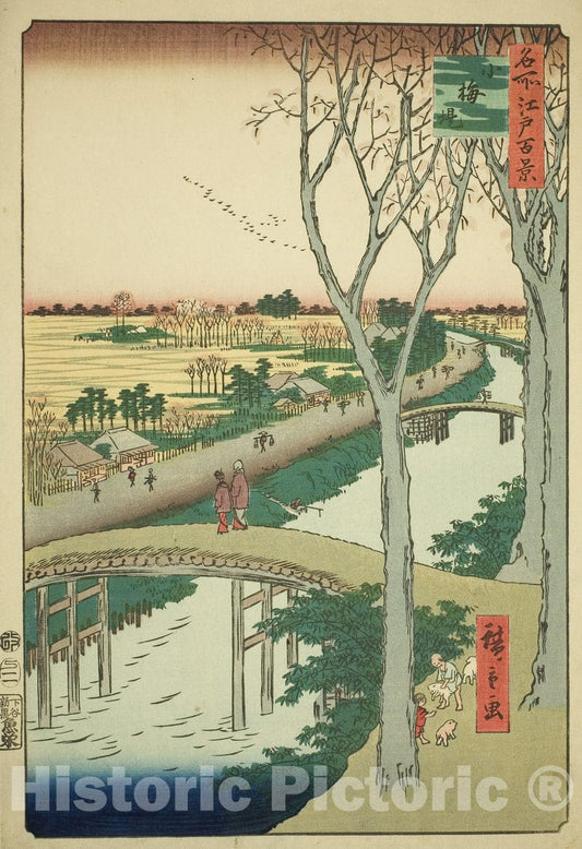 Art Print : Koume Embankment (Koumezutsumi), from the series "One Hundred Famous Views of Edo (Meisho Edo hyakkei)", Utagawa Hiroshige, c 1858, Vintage Wall Decor :