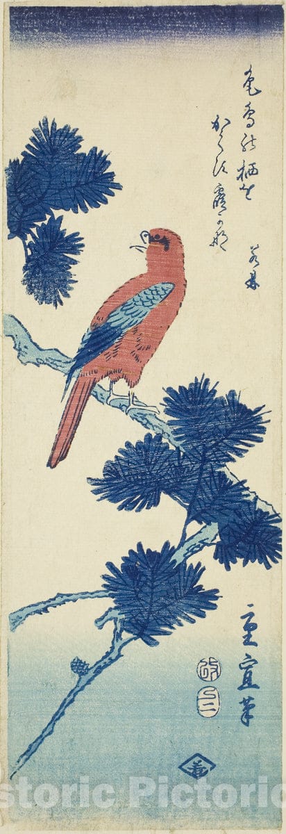 Art Print : Bird on pine tree, Utagawa Hiroshige II (Shigenobu), c 1850, Vintage Wall Decor :
