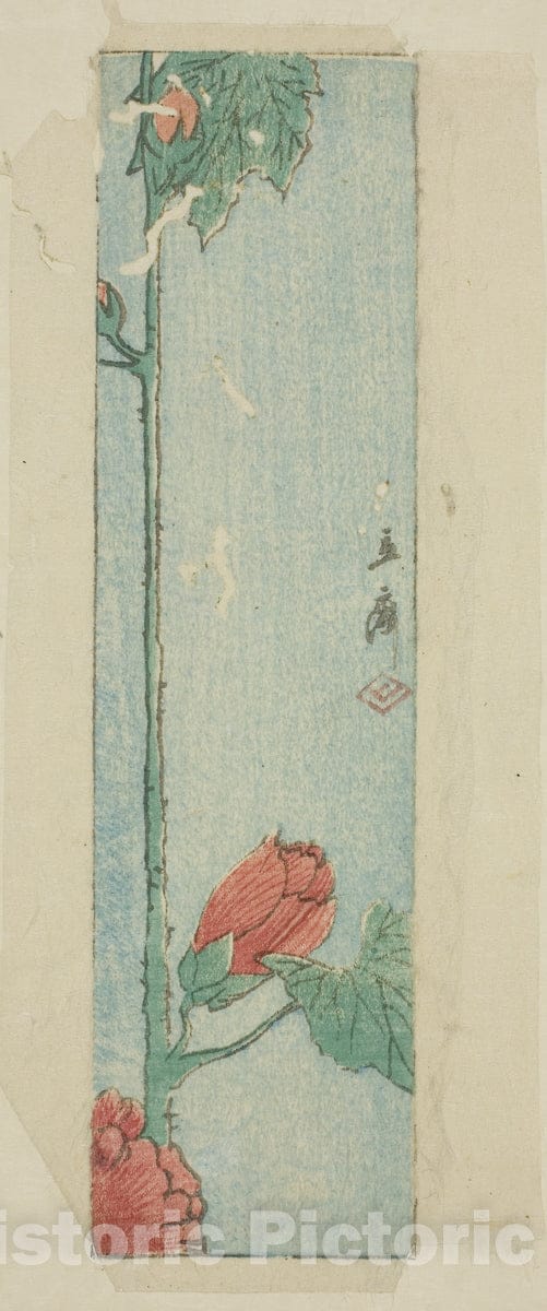Art Print : Envelope with hibiscus, Utagawa Hiroshige, c 1767, Vintage Wall Decor :
