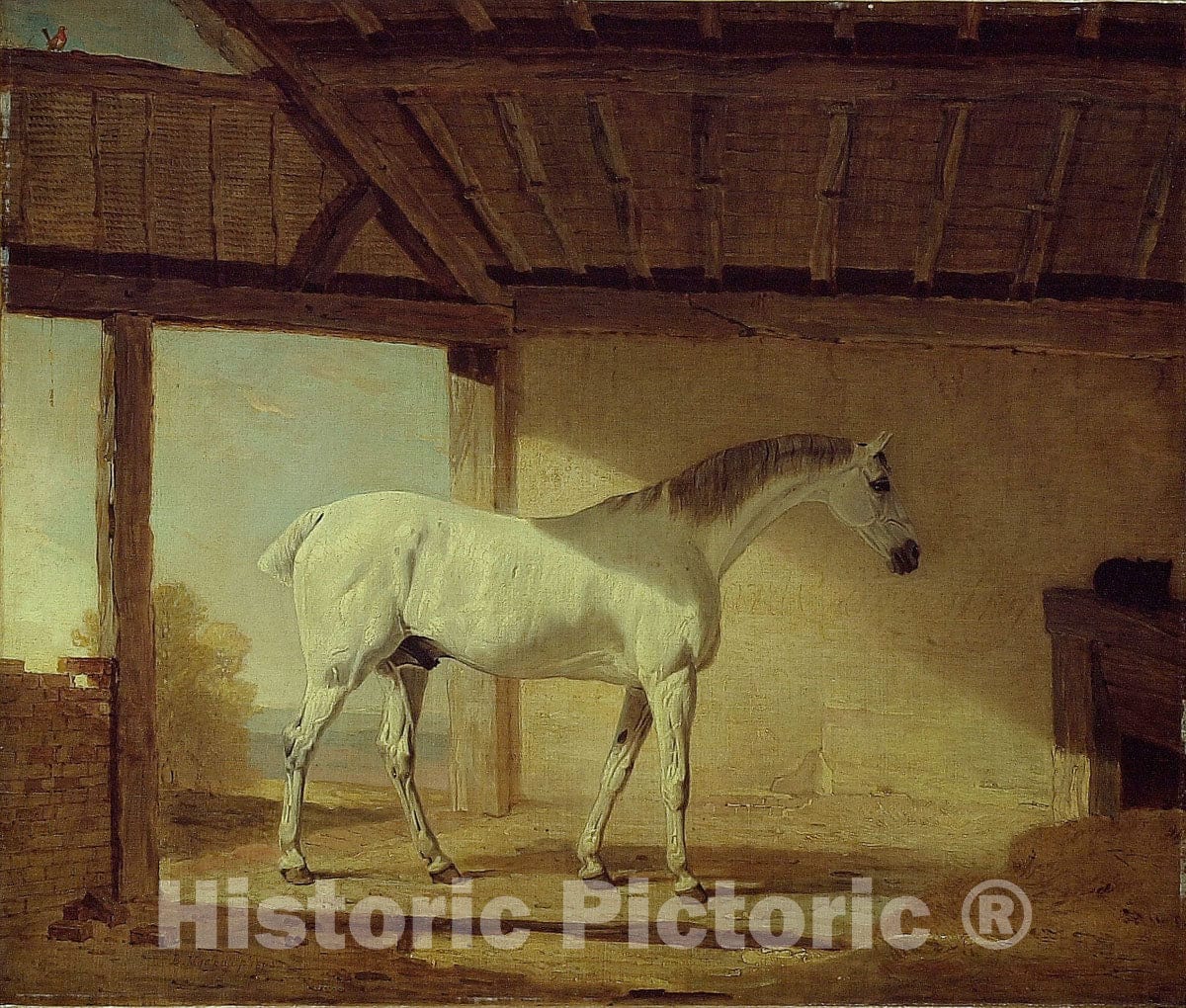 Art Print : The Earl of Coventrys Horse, Benjamin Marshall, c 1926, Vintage Wall Decor :