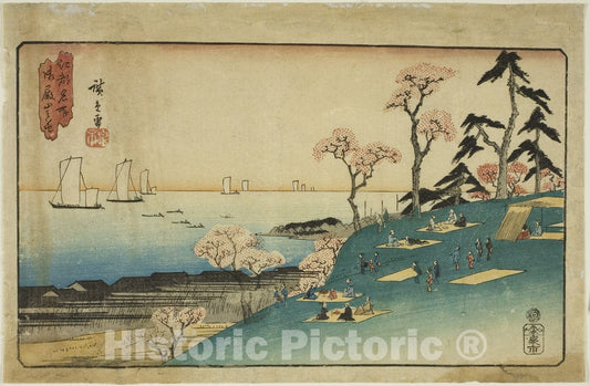 Art Print : Cherry Blossoms at Goten Hill (Gotenyama no hana), from the series "Famous Places in Edo (Koto meisho)", Utagawa Hiroshige, c 1794, Vintage Wall Decor :