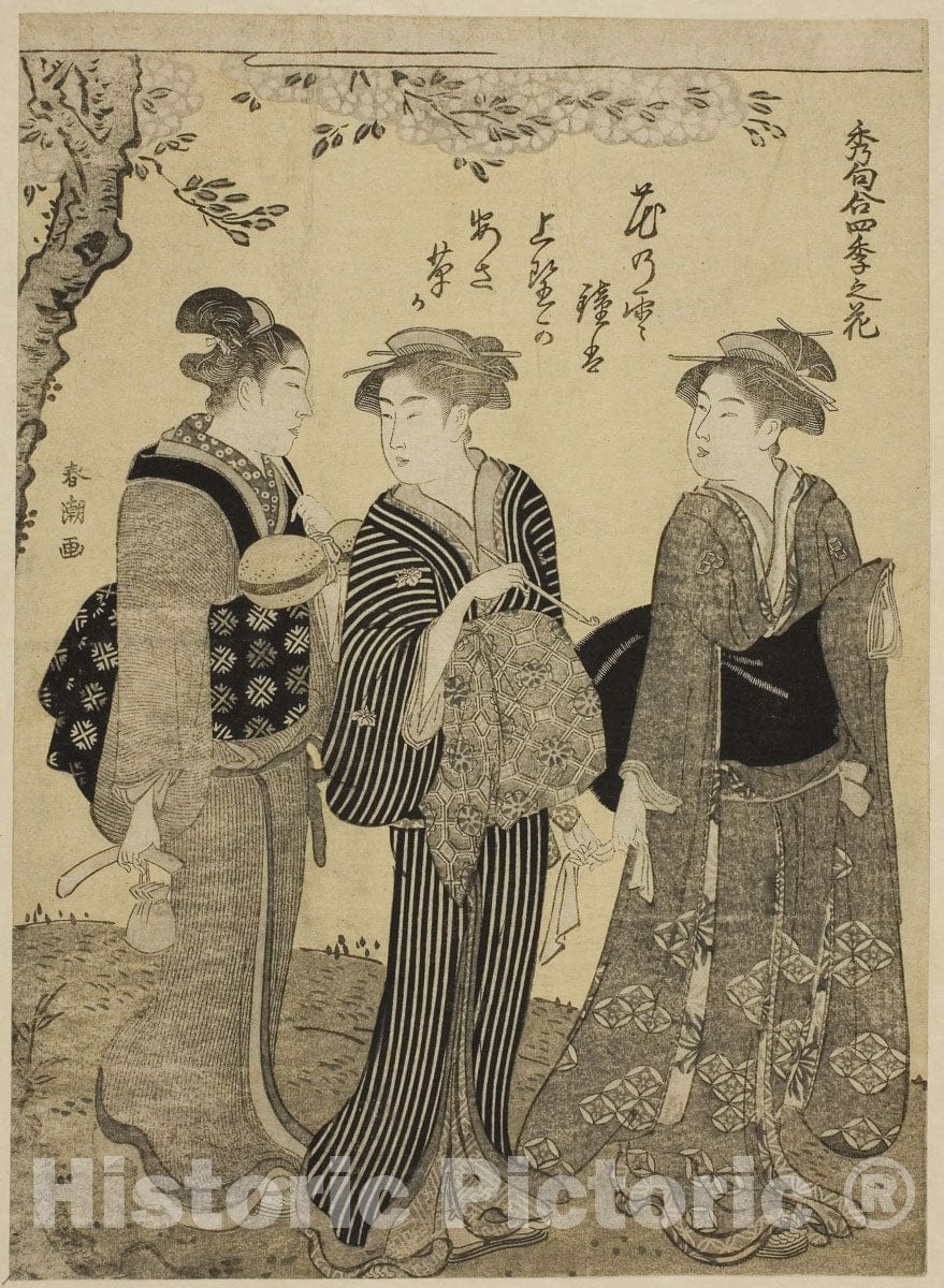 Art Print : Cherry Blossoms in Spring, from Choicest Odes upon Flowers of the Four Seasons , Katsukawa ShunchÃ´, c 1784, Vintage Wall Decor :
