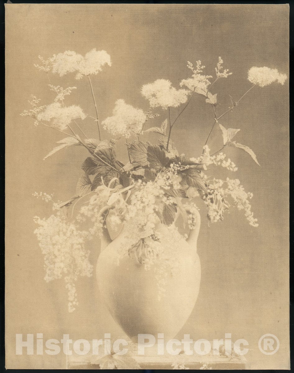 Photo Print : Vase of Flowers : Vintage Wall Art