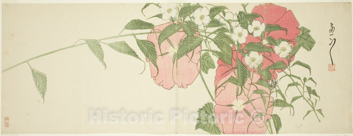 Art Print : Flowers, Suiseki Sato, c 1832, Vintage Wall Decor :