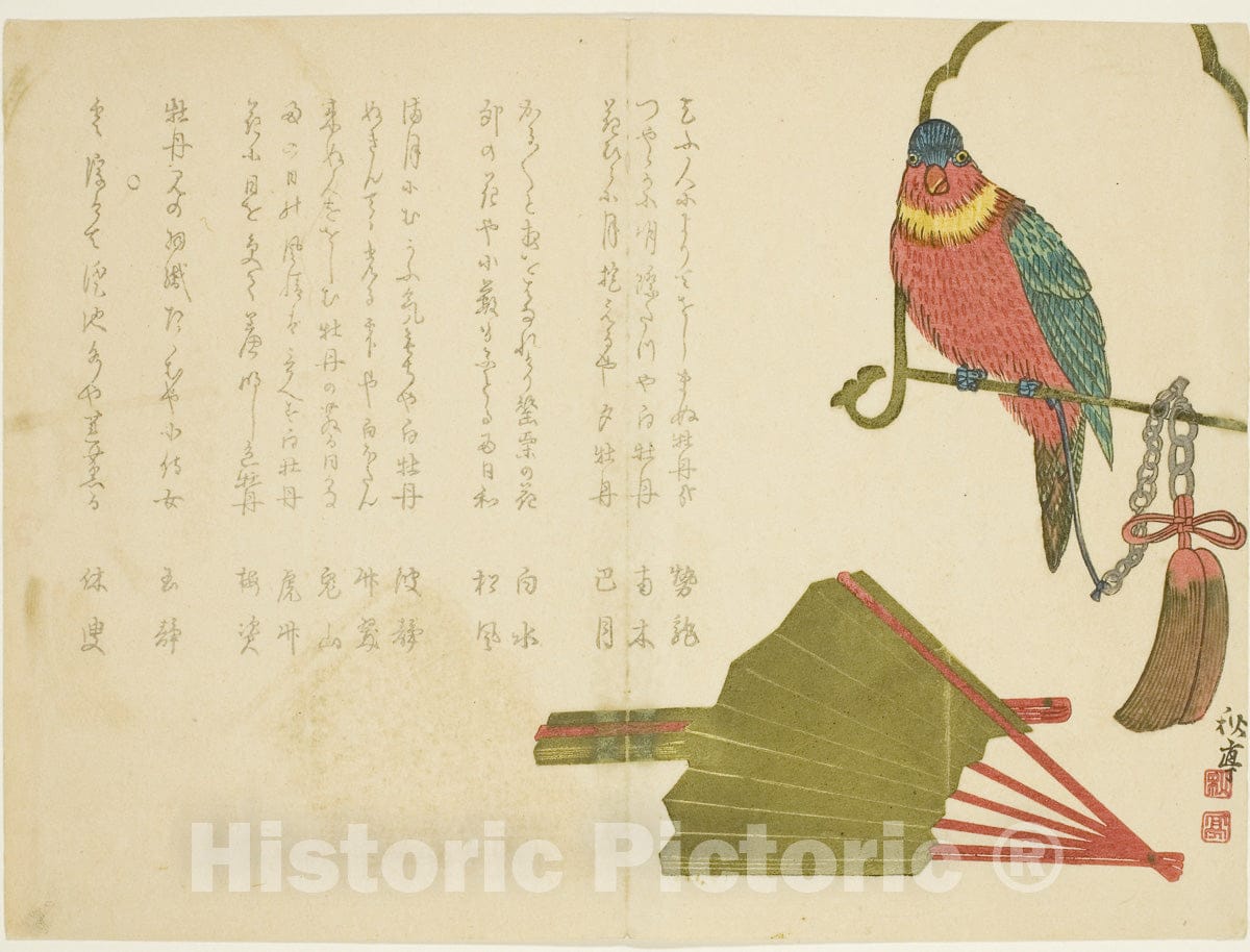 Art Print : Parrot and Fans, Tanaka Shutei, c 1822, Vintage Wall Decor :