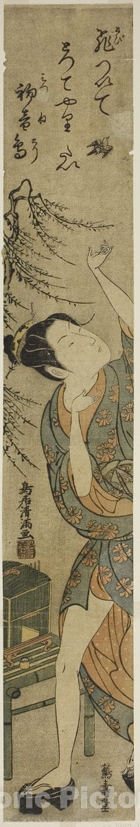 Dragable Image