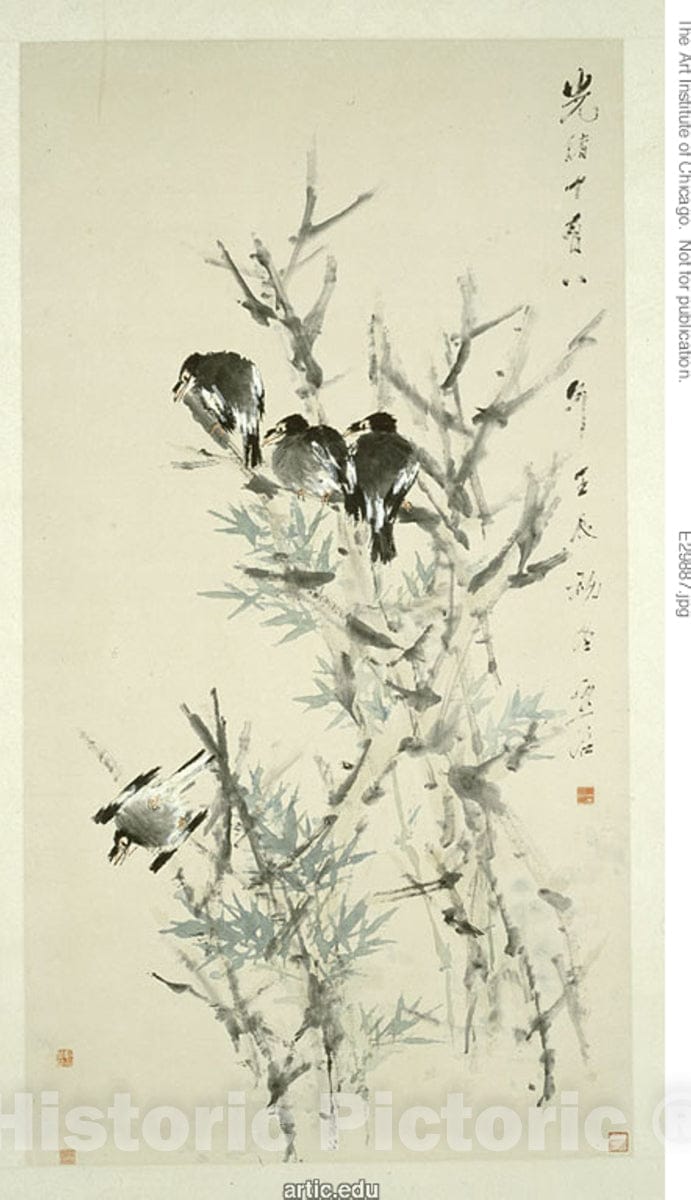 Art Print : Black Birds, Xugu, c 1663, Vintage Wall Decor :