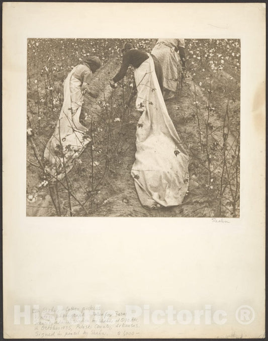 Photo Print : Ben Shahn - Cotton Pickers, Pulaski County, Arkansas : Vintage Wall Art