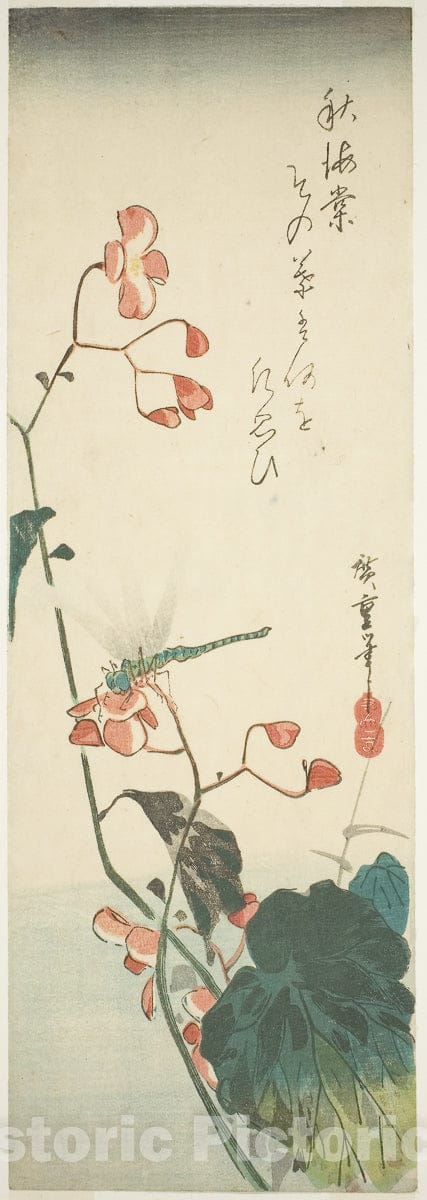 Art Print : Dragonfly and begonia, Utagawa Hiroshige, c 1829, Vintage Wall Decor :
