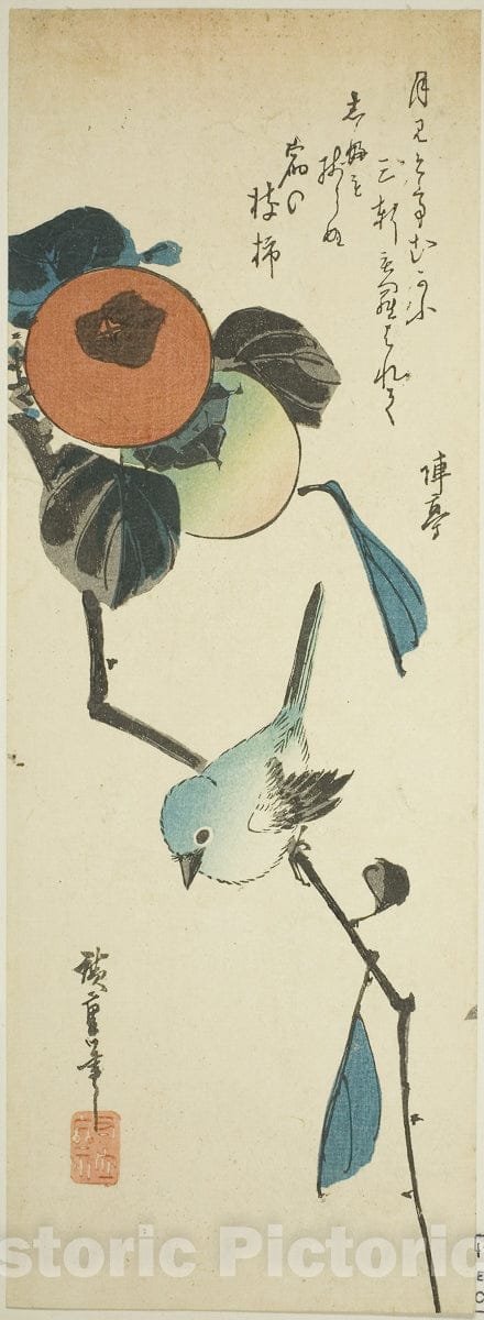 Art Print : Japanese white-eye and persimmons, Utagawa Hiroshige, c 1857, Vintage Wall Decor :