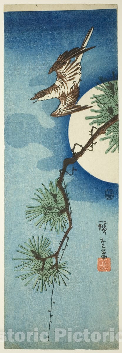 Art Print : Cuckoo, pine branch, and full moon, Utagawa Hiroshige, c 1854, Vintage Wall Decor :
