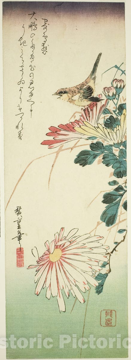 Art Print : Bird and chrysanthemums, Utagawa Hiroshige, c 1837, Vintage Wall Decor :