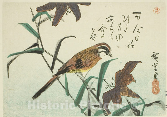 Art Print : Bunting and lilies, Utagawa Hiroshige, c1880, Vintage Wall Decor :