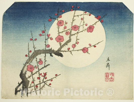 Art Print : A Red Plum Branch against the Summer Moon, Utagawa Hiroshige, c 1859, Vintage Wall Decor :