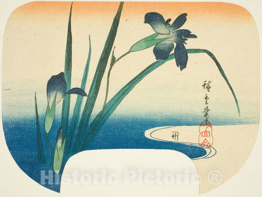 Art Print : Iris and stream, Utagawa Hiroshige, c 1755, Vintage Wall Decor :