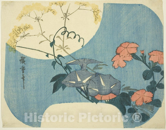 Art Print : Morning Glories, Pinks, and Maiden Flower, from the series "Seven Autumn Flowers in Moonlight", Utagawa Hiroshige, c 1768, Vintage Wall Decor :