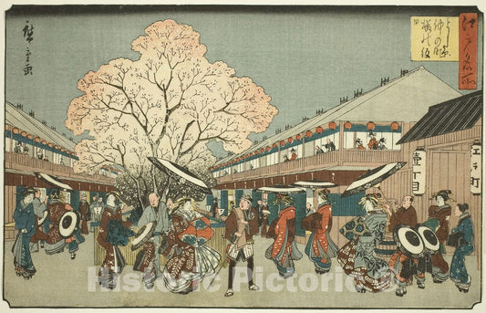 Art Print : Cherry Blossom Day on the Nakanocho of the Yoshiwara (Yoshiwara Nakanocho Sakura no monbi), Utagawa Hiroshige, c 1814, Vintage Wall Decor :