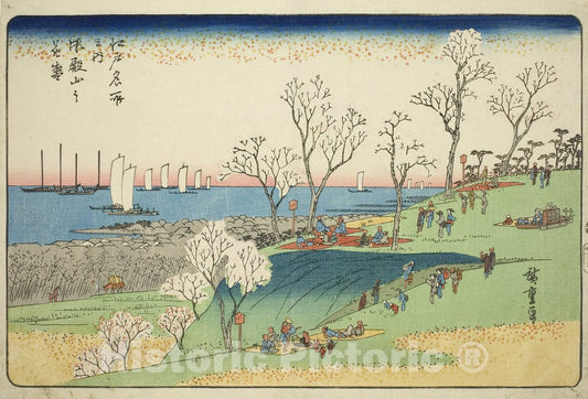 Art Print : Cherry Blossoms in Full Bloom at Goten Hill , from Famous Places in Edo , Utagawa Hiroshige, c 1805, Vintage Wall Decor :