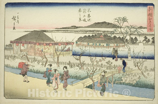 Art Print : Spring View of the New Embankment at Shinobazu Pond (Shinobazu ike shin dote haru no kei), Utagawa Hiroshige, c 1925, Vintage Wall Decor :