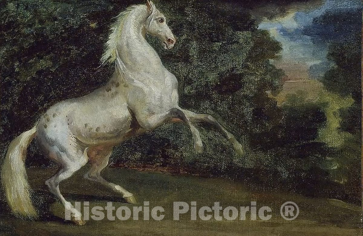 Art Print : Prancing Horse, Jean Louis Andre Theodore Gericault, c 1890, Vintage Wall Decor :