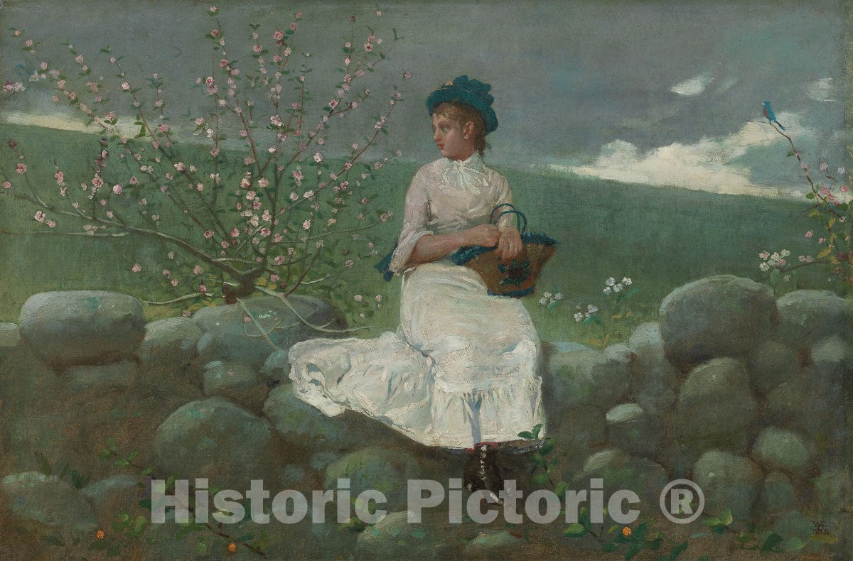 Art Print : Peach Blossoms, Winslow Homer, 1878, Vintage Wall Decor :