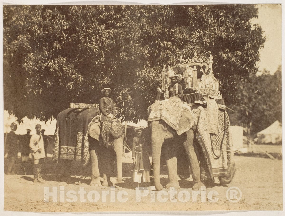 Photo Print : Governor General's State Elephant and Silver Howdah : Vintage Wall Art
