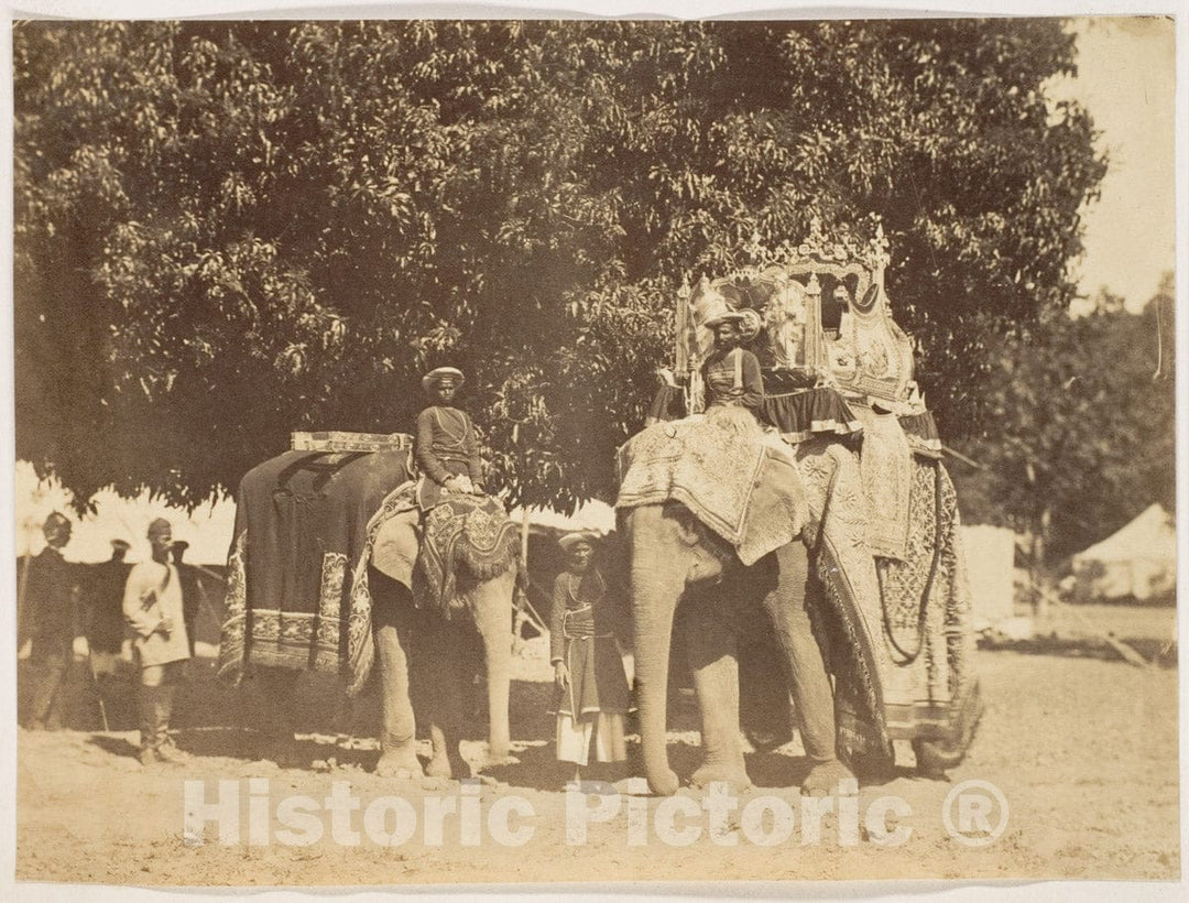Photo Print : Governor General's State Elephant and Silver Howdah : Vintage Wall Art