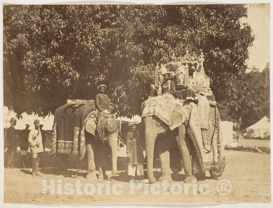 Photo Print : Governor General's State Elephant and Silver Howdah : Vintage Wall Art