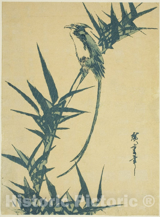 Art Print : Long-tailed bird and bamboo, Utagawa Hiroshige, Vintage Wall Decor :