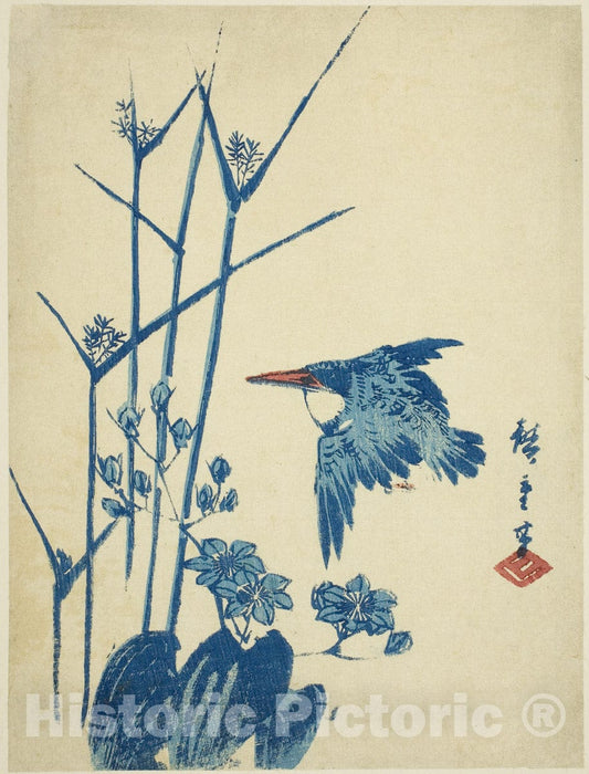 Art Print : Kingfisher and monochoria, Utagawa Hiroshige, c 1837, Vintage Wall Decor :