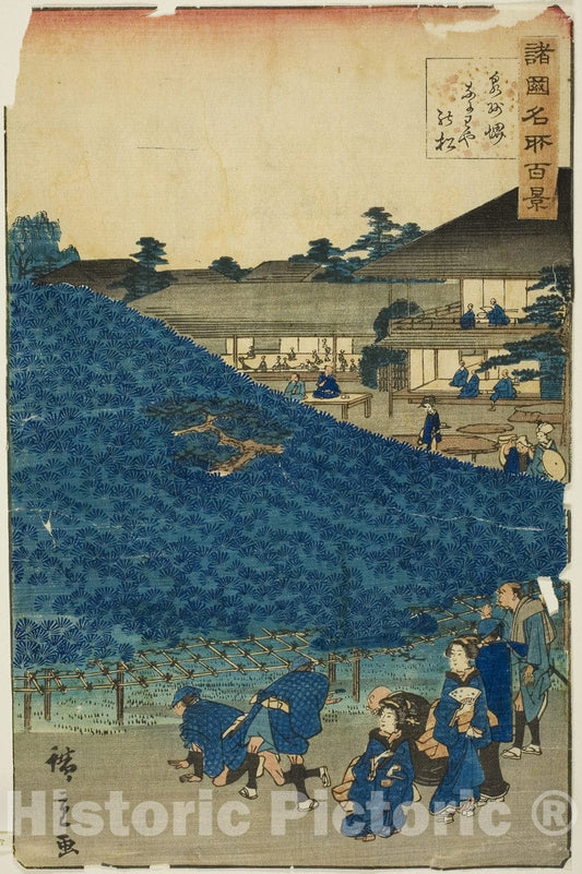 Art Print : The Naniwaya Pine Tree at Sakai in Izumi Province (Senshu Sakai Naniwaya no matsu), Utagawa Hiroshige II (Shigenobu), c 1859, Vintage Wall Decor :