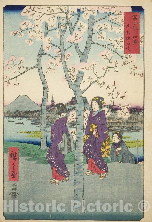 Art Print : The Sumida Embankment in the Eastern Capital (Toto Sumida-zutsumi), Utagawa Hiroshige, c 1858, Vintage Wall Decor :