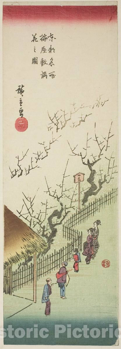 Art Print : Plum Garden in Full Bloom , from Famous Views of the Eastern Capital , Utagawa Hiroshige, c 1837, Vintage Wall Decor :
