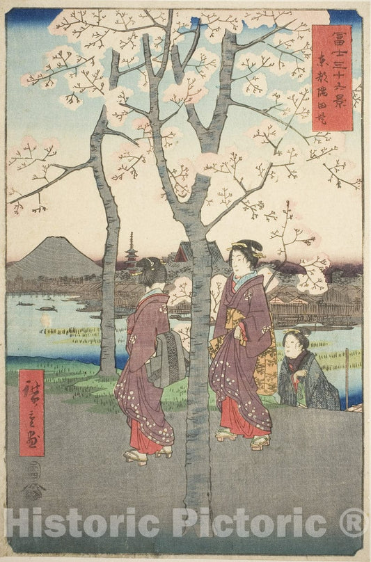 Art Print : The Sumida Embankment in the Eastern Capital (Toto Sumida zutsumi), Utagawa Hiroshige, c 1858, Vintage Wall Decor :