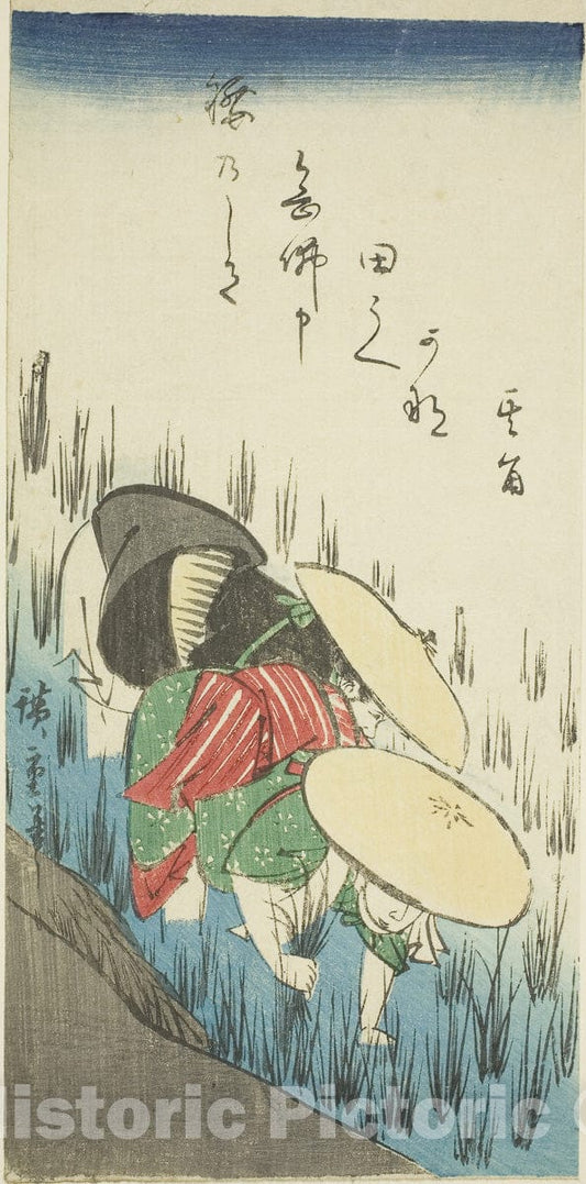 Art Print : Planting rice, Utagawa Hiroshige, Vintage Wall Decor :